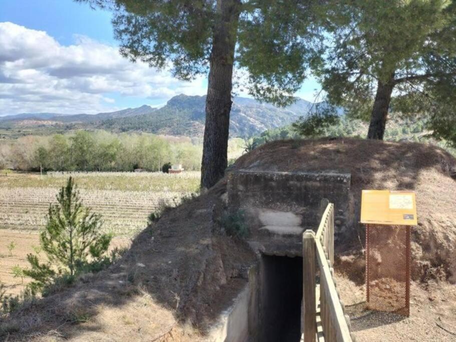 Ca Serrulleta Asco Kültér fotó